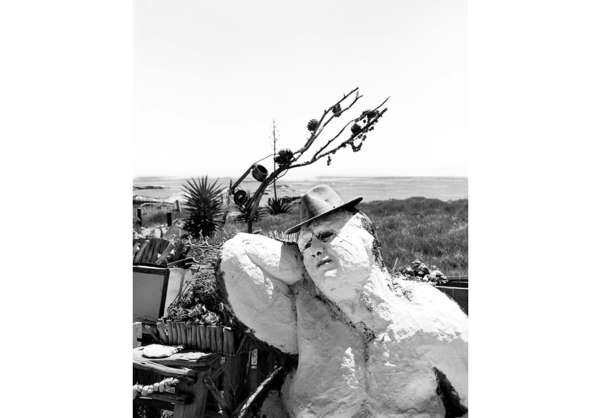  - Nicholene Dampies’ garden, St Helena Bay Xl, 2024