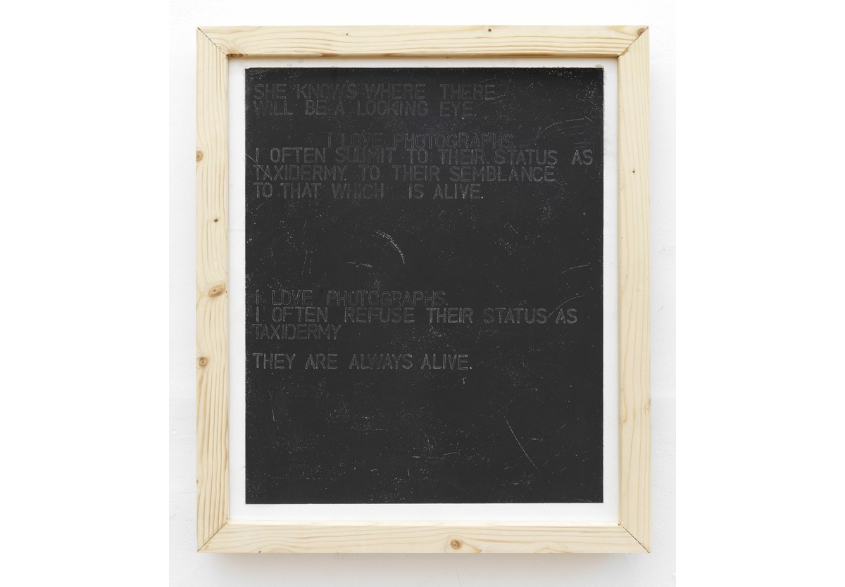 Tumelo Mtimkhulu - Aperture (a poem in twelve parts), part three, 2024-25