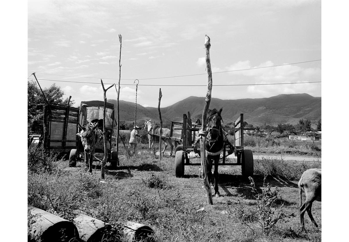  - Market day, Oaxaca, 2018