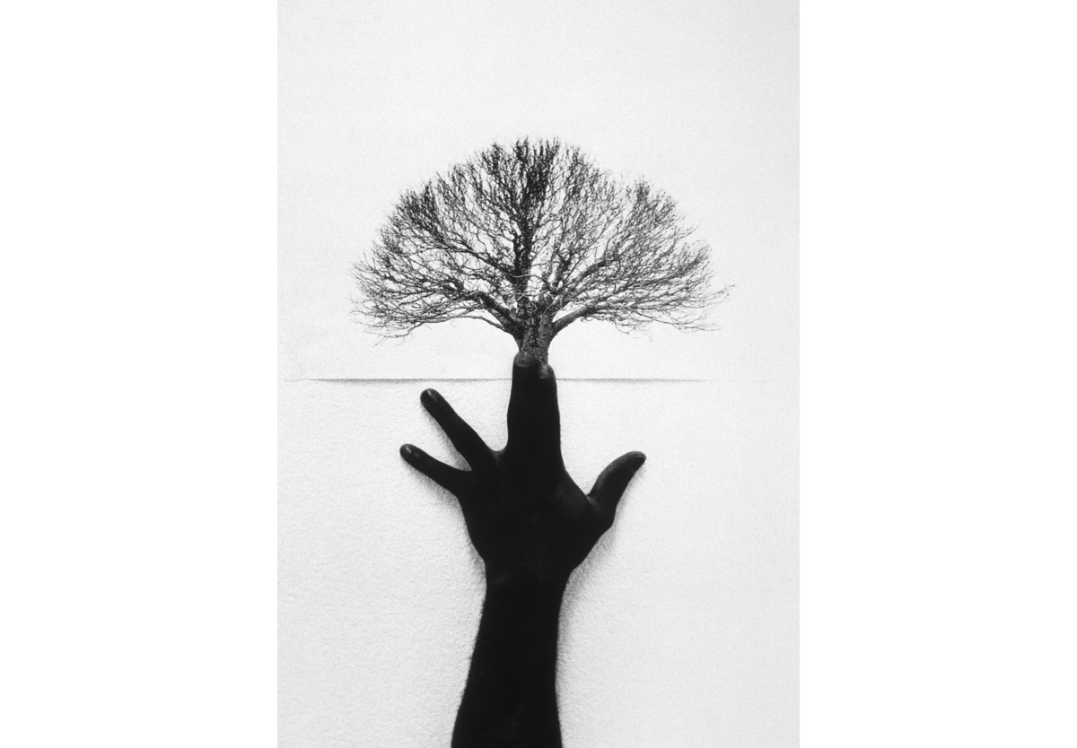  - Une autre vie (Another Life) , 1993 - 2023