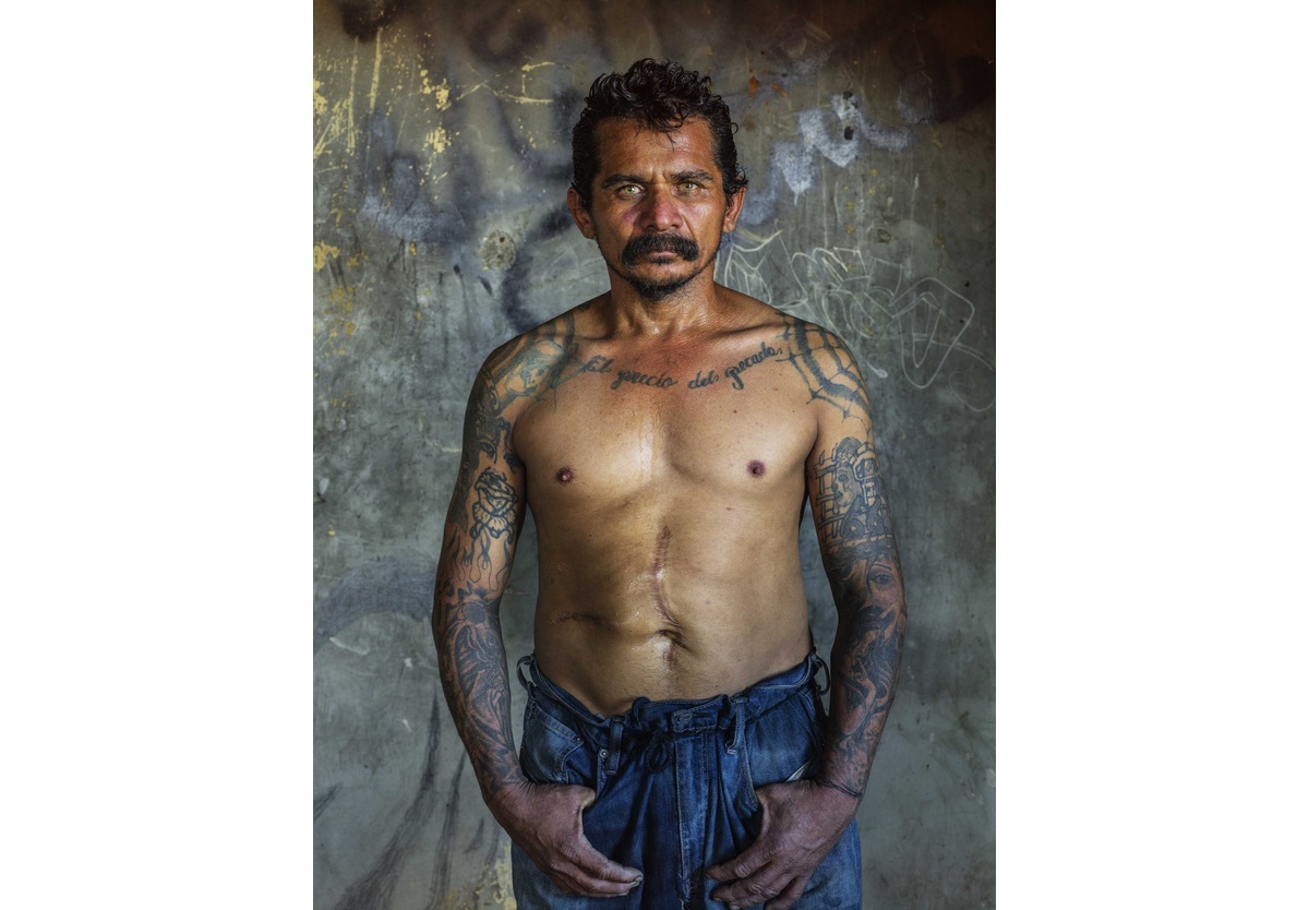  - El Gato. Hermosillo, 2019, 