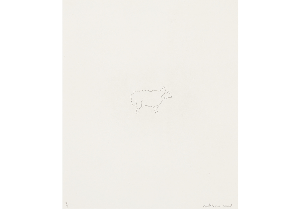  - Production outputs (sheep), 2019