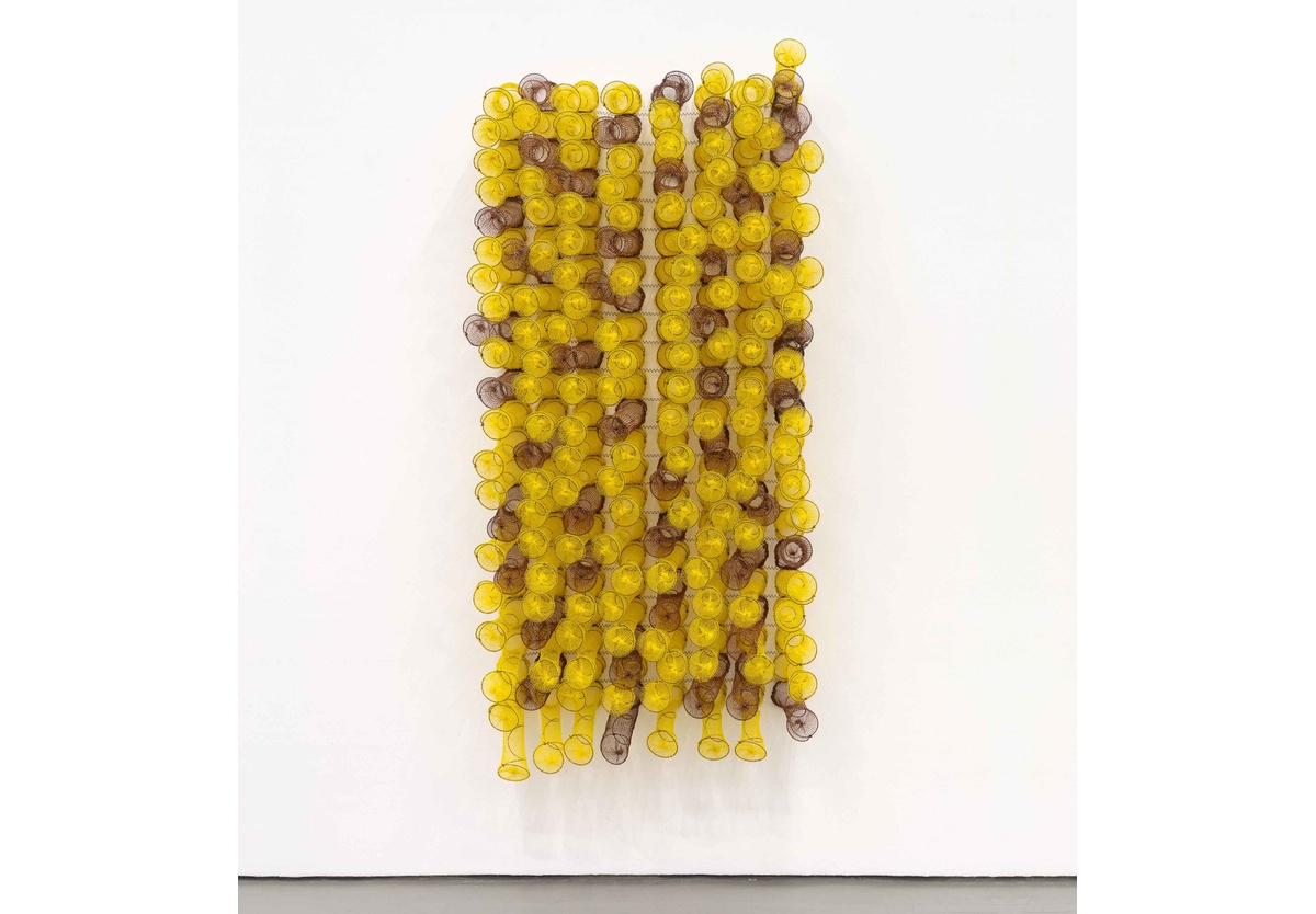 Bronwyn Katz - ǂxon||xūb |’amiros (sweet thorn star), 2022