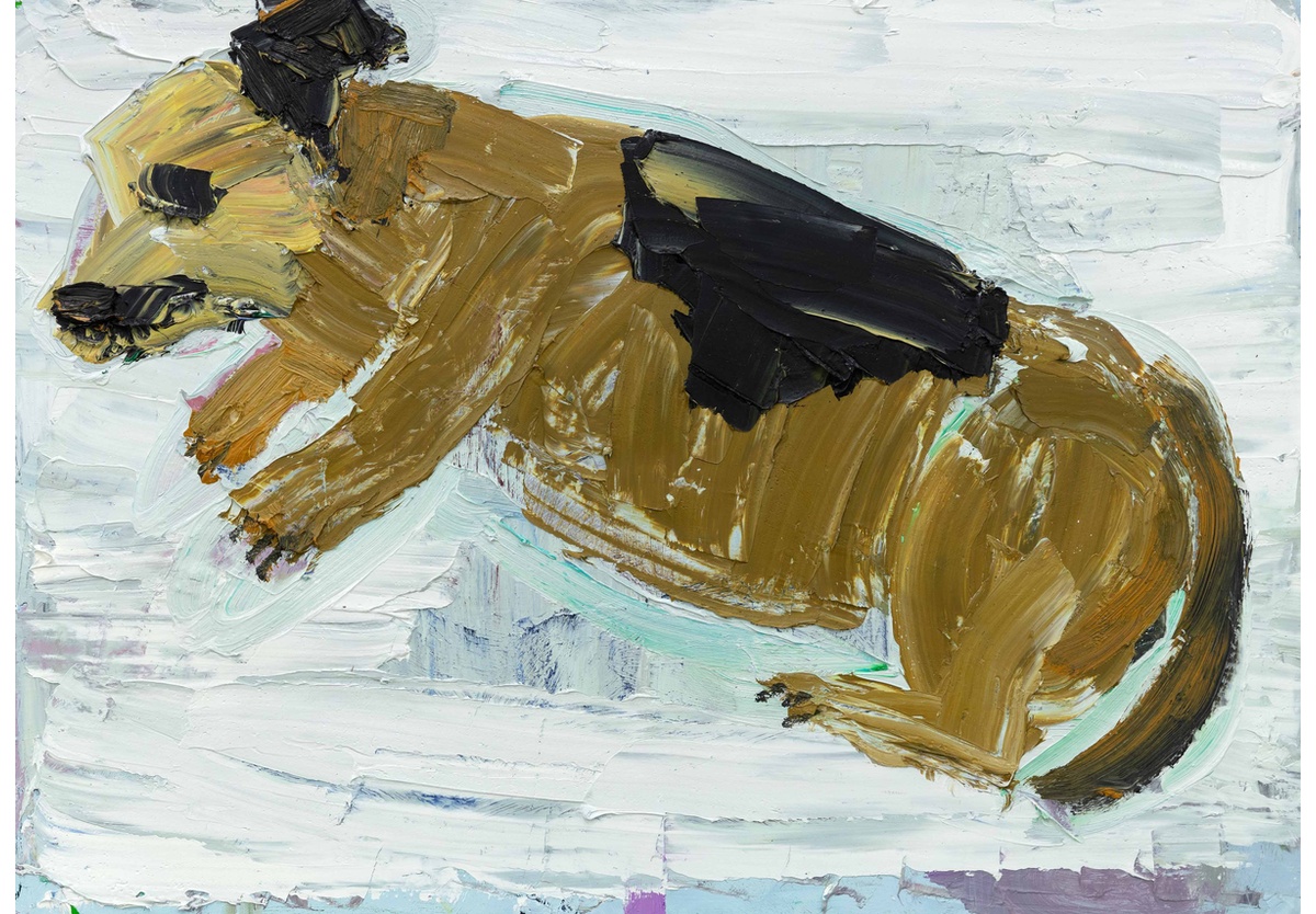  - Petal resting, 2024
