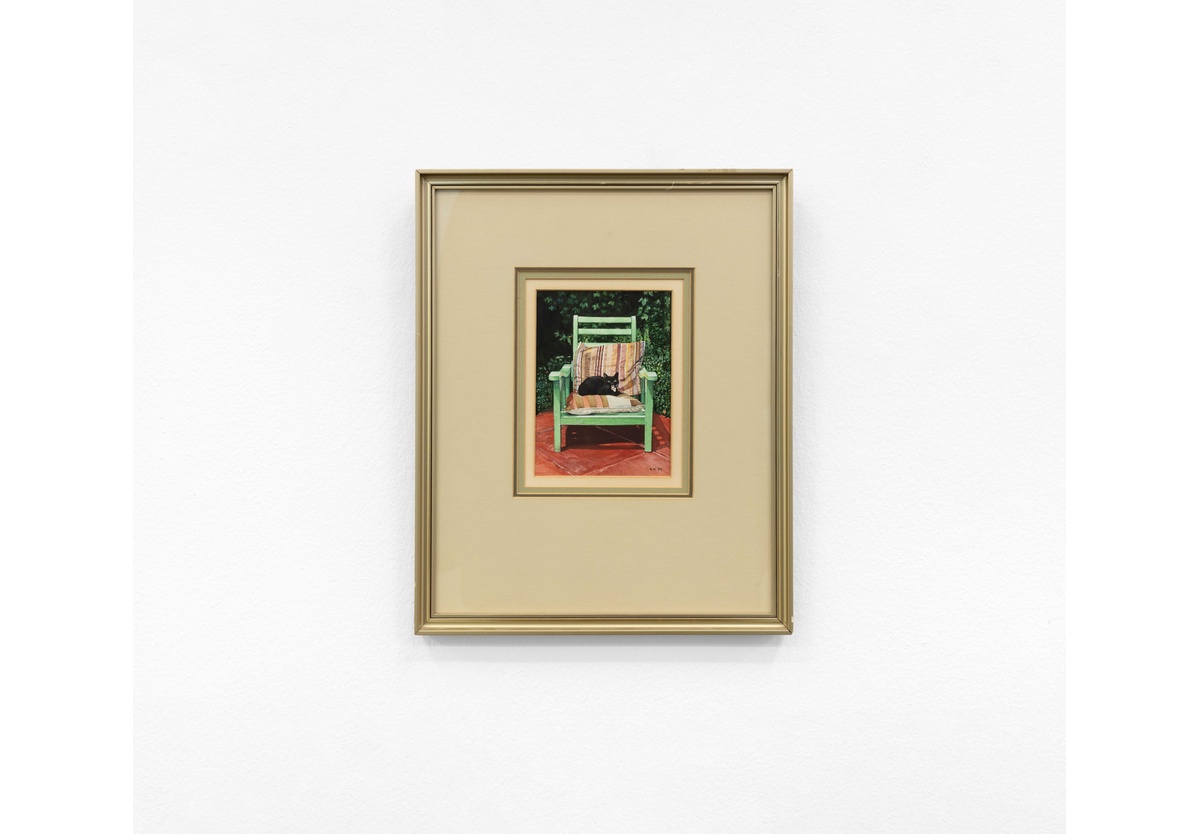 Sheila Nowers - Cat on chair, 1984