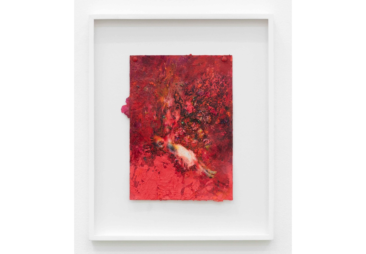 Penny Siopis - Warm World: Coral, 2019