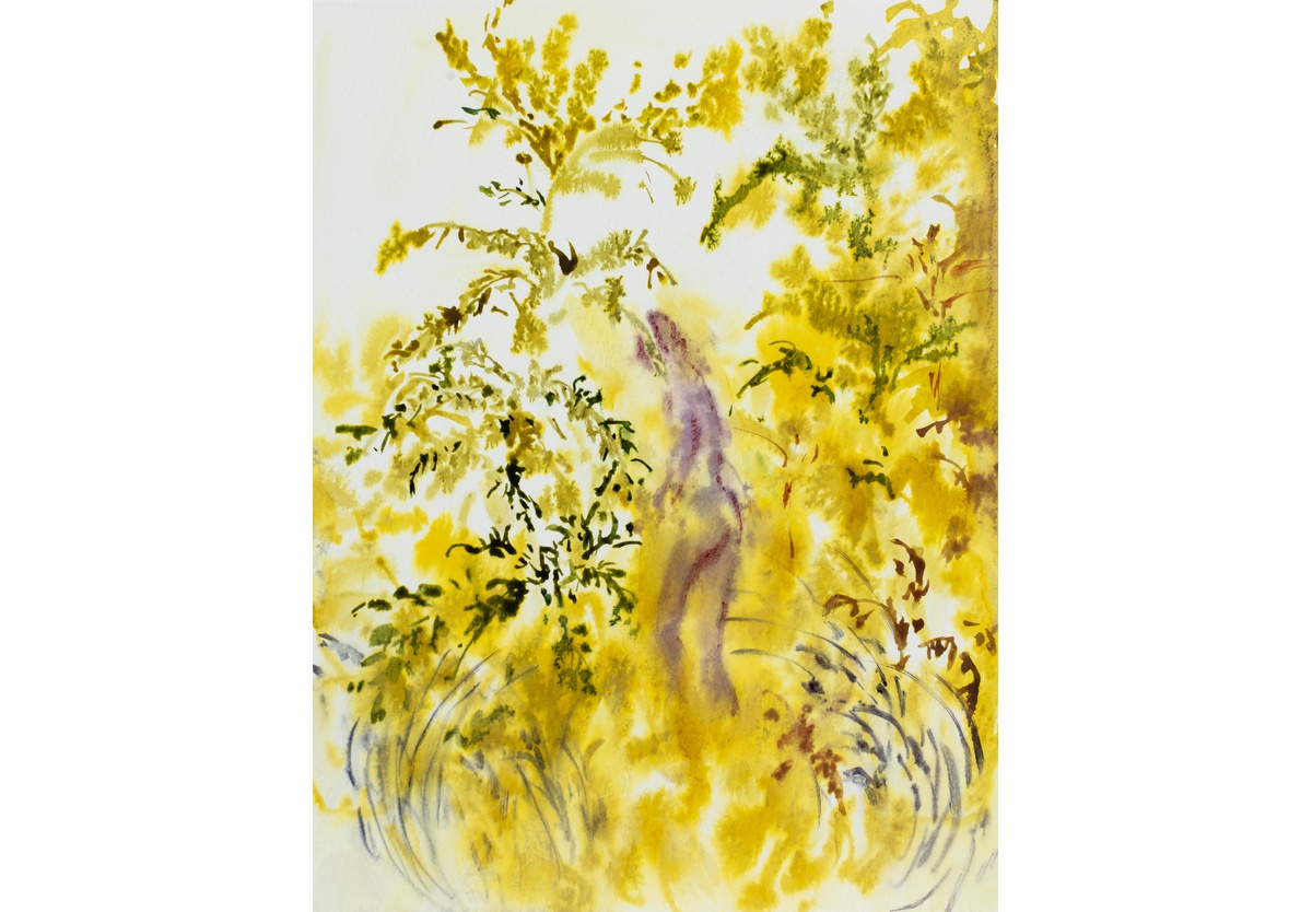 Cian-Yu Bai - Seven days in nature 7, 