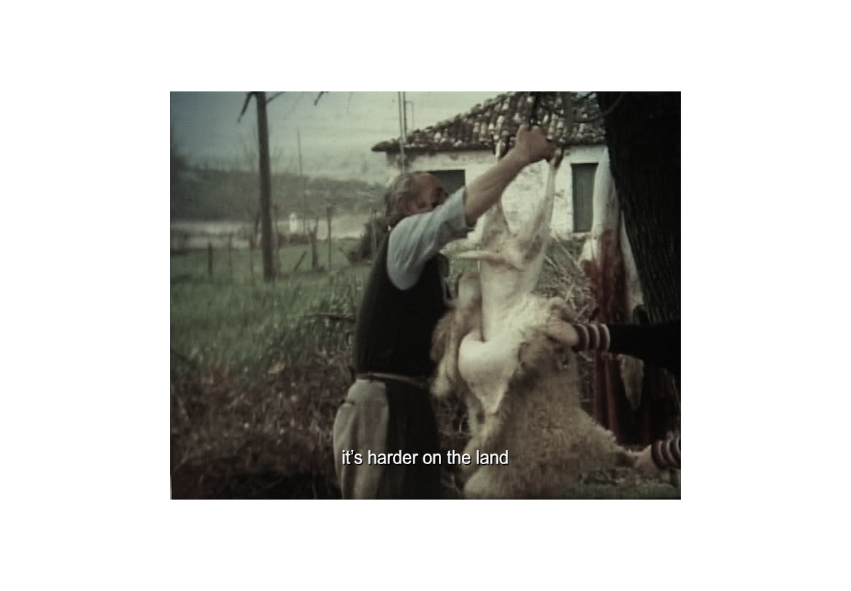  - She Breathes Water, 2019