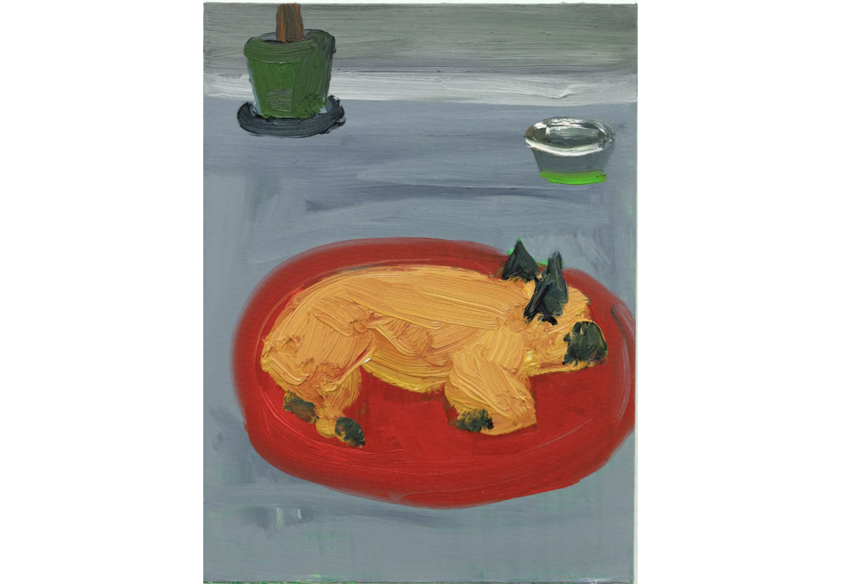  - Fonzi asleep in the studio, 2024