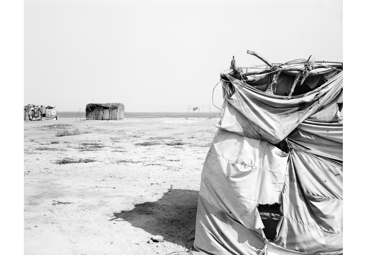  - Equimina II, 2010