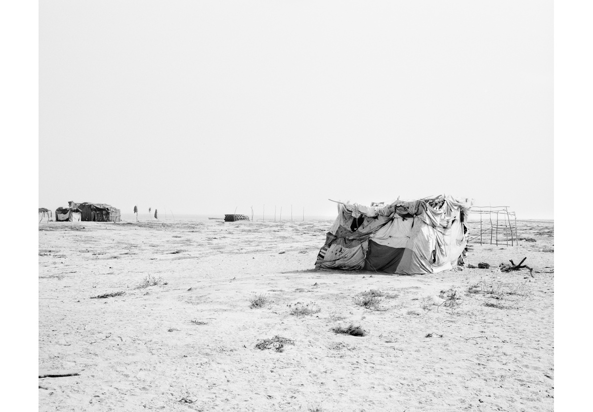  - Equimina IV, 2010