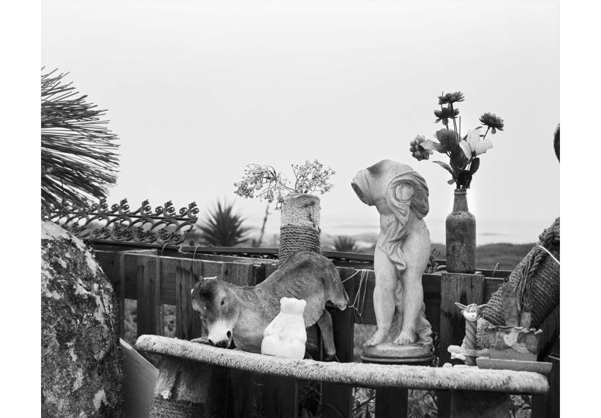  - Nicholene Dampies’ garden, St Helena Bay I, 2024