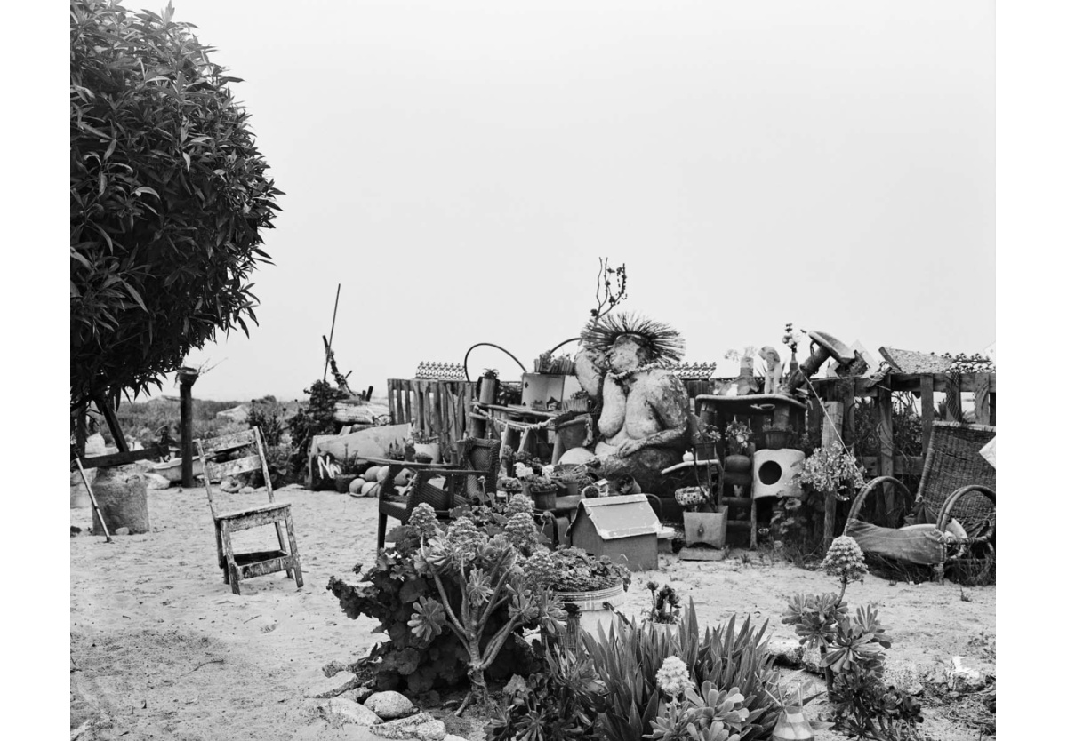  - Nicholene Dampies’ garden, St Helena Bay VIII, 2024