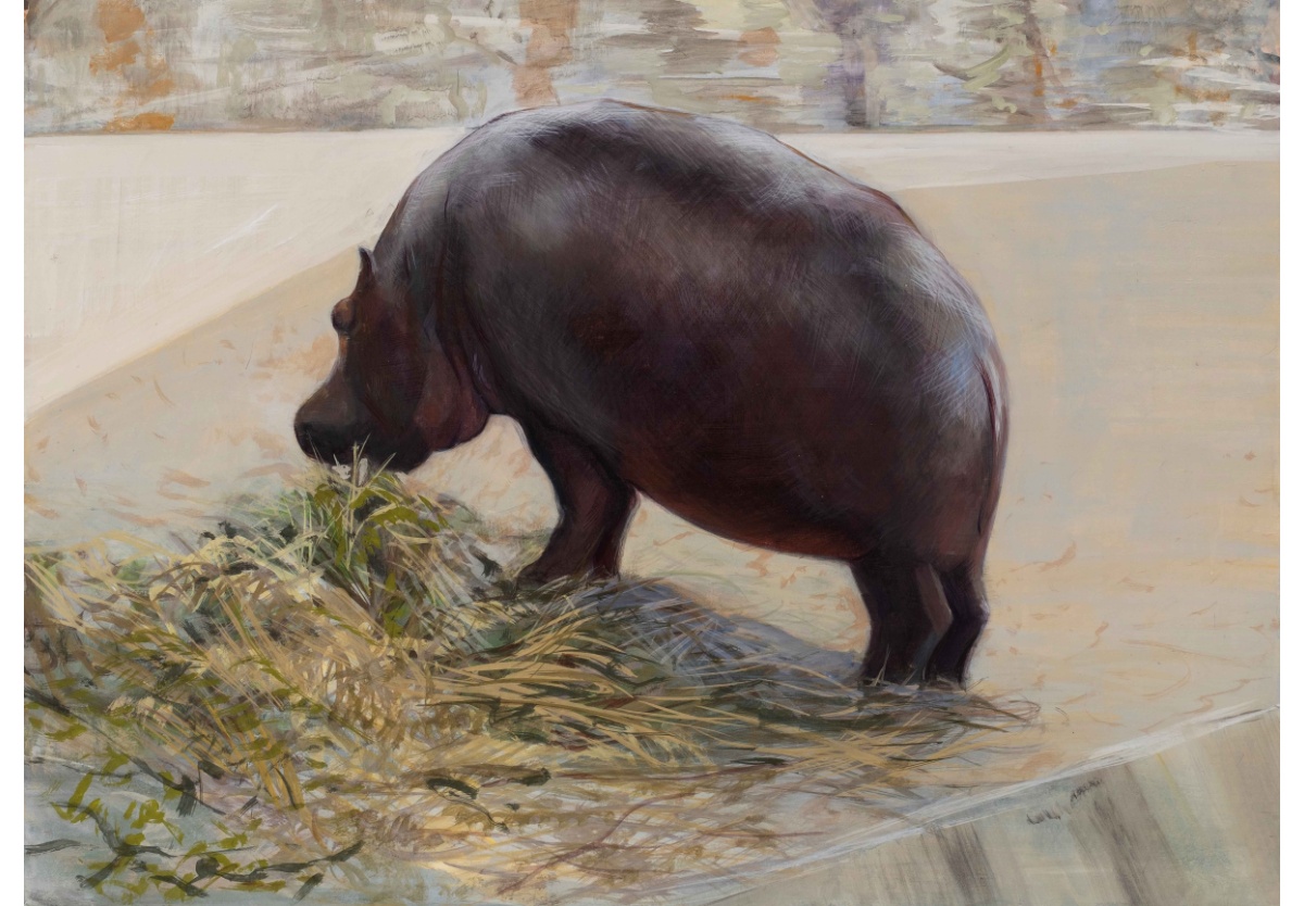 Mahesh Baliga - Hippo from Hyderabad, 2025