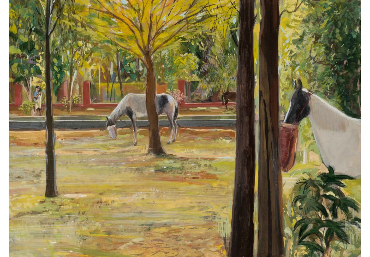 Mahesh Baliga - Stand, 2026