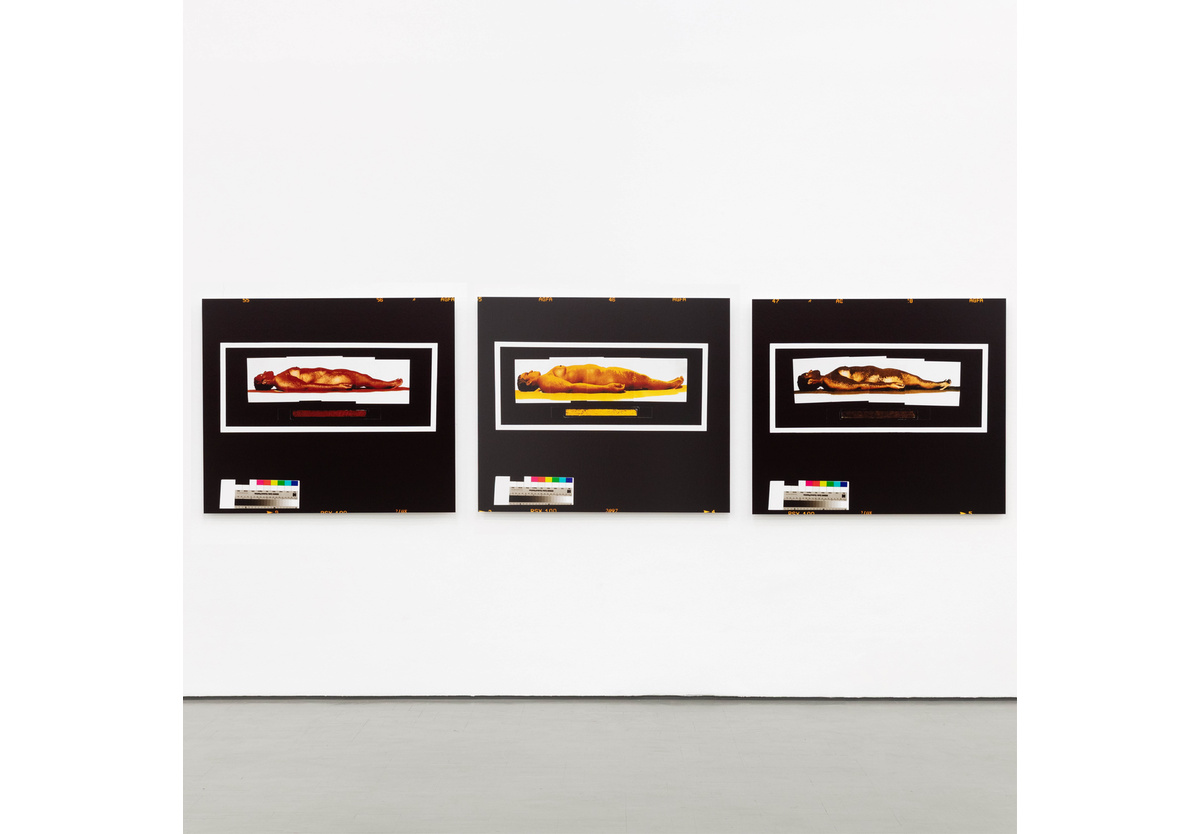 Berni Searle - Red, Yellow, Brown, 1998