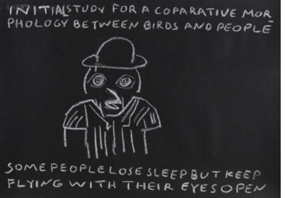 INITIAL STUDY FOR A COMPARATIVE MORPHOLOGY BETWEEN BIRDS AND PEOPLE [Some people lose sleep but keep flying with their eyes open]