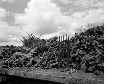 Rooftop, Oaxaca