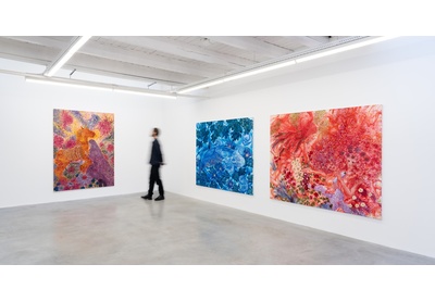 Installation view