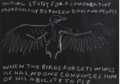 INITIAL STUDY FOR A COMPARATIVE MORPHOLOGY BETWEEN BIRDS AND PEOPLE [When the birds forgets wings he has no one convinces him of his ability to fly]