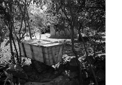 The Beekeeper, Masvingo