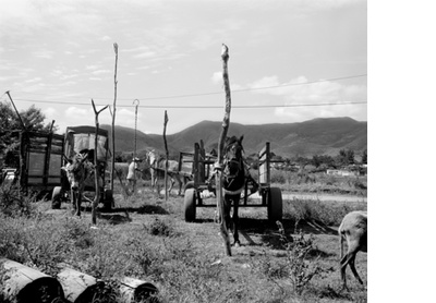 Market day, Oaxaca