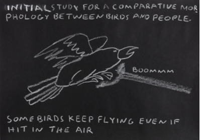 INITIAL STUDY FOR A COMPARATIVE MORPHOLOGY BETWEEN BIRDS AND PEOPLE [Some birds keep flying even if hit in the air]
