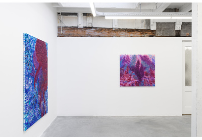 Installation view
