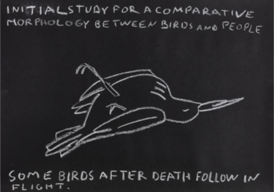 INITIAL STUDY FOR A COMPARATIVE MORPHOLOGY BETWEEN BIRDS AND PEOPLE [Some birds after death follow in flight]