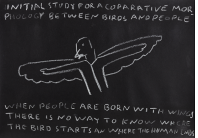 INITIAL STUDY FOR A COMPARATIVE MORPHOLOGY BETWEEN BIRDS AND PEOPLE [When people are born with wings there is no way to know where the bird starts an where the human ends]