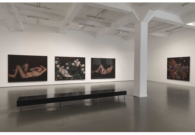 Installation view