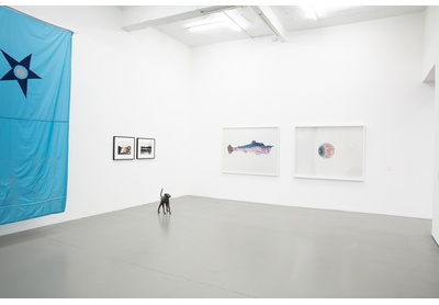 Installation view