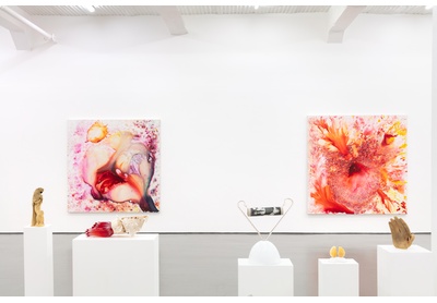 Installation view