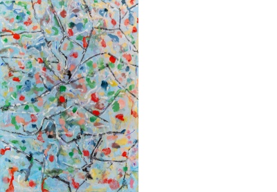 The roots of a suspended bark