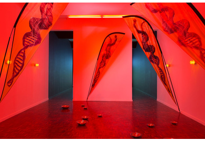 Installation view