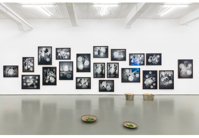 WHITENESS ETHNOGRAPHY [installation view]