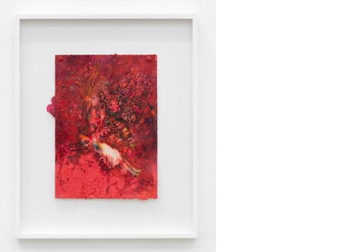 Warm World: Coral
