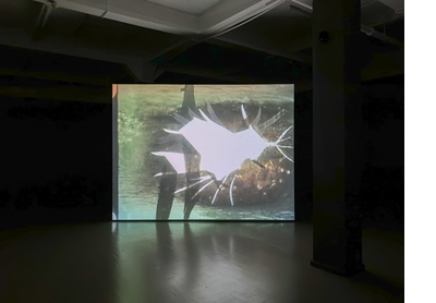 Installation view, Celluloid Body 