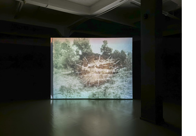 Installation view, Celluloid Body 