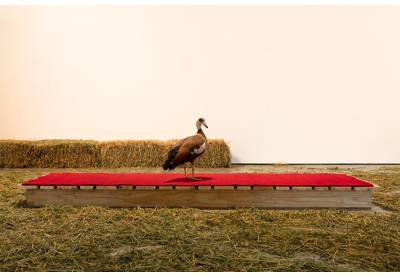 The Golden Goose (An Autobiography of an Artist)