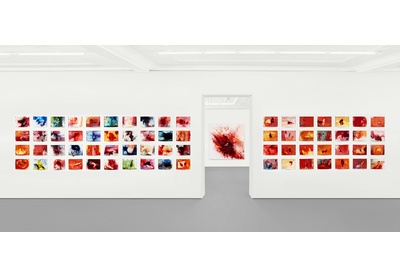 Installation view