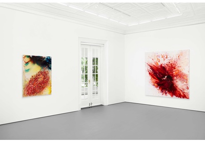 Installation view
