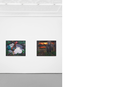 Installation view