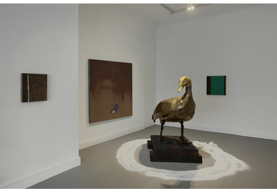 Installation view