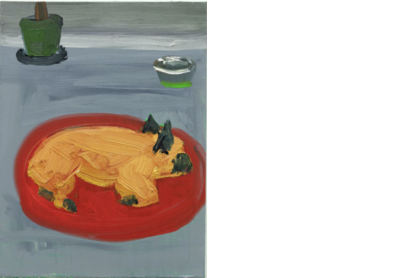 Fonzi asleep in the studio