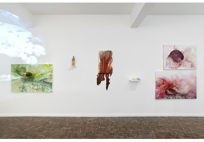 Installation view