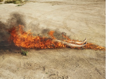 Spoliation of evidence. Hermosillo, 2019