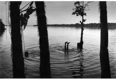 Children bathe in the Coppername River, Guyana