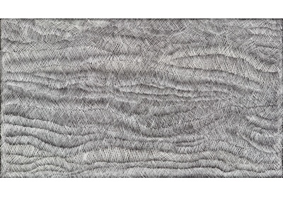 Untitled / Trees (negative)