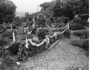 Lynette Losper's garden, St Helena Bay V